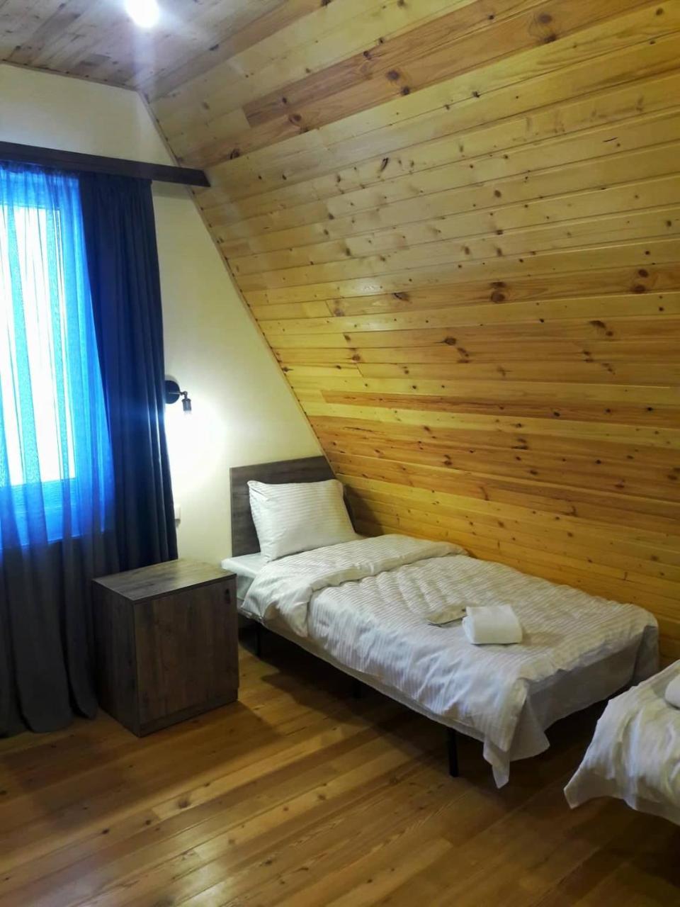 Hotel Twins Achkhoti カズベギ エクステリア 写真